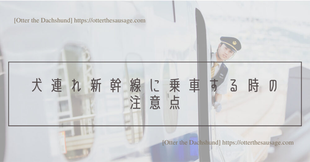 Blog Header image_犬と旅行_犬連れ旅行_travel tips for riding on the bullet train with dogs_Otter the Dachshund_犬連れ新幹線の乗り方完全マニュアル_犬連れ新幹線に乗車する時の注意点